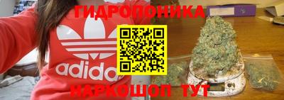 шишки Железноводск